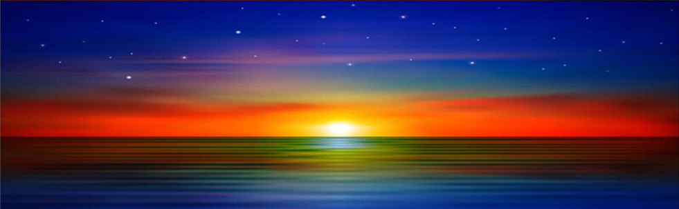 �����������_